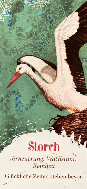 Storch